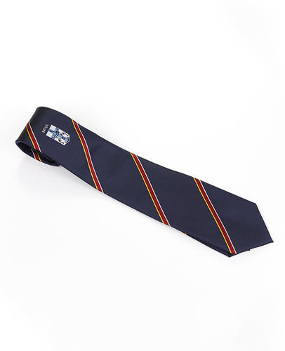 FN-001 High quality blue clour junior high school logo Handmade Silk tie