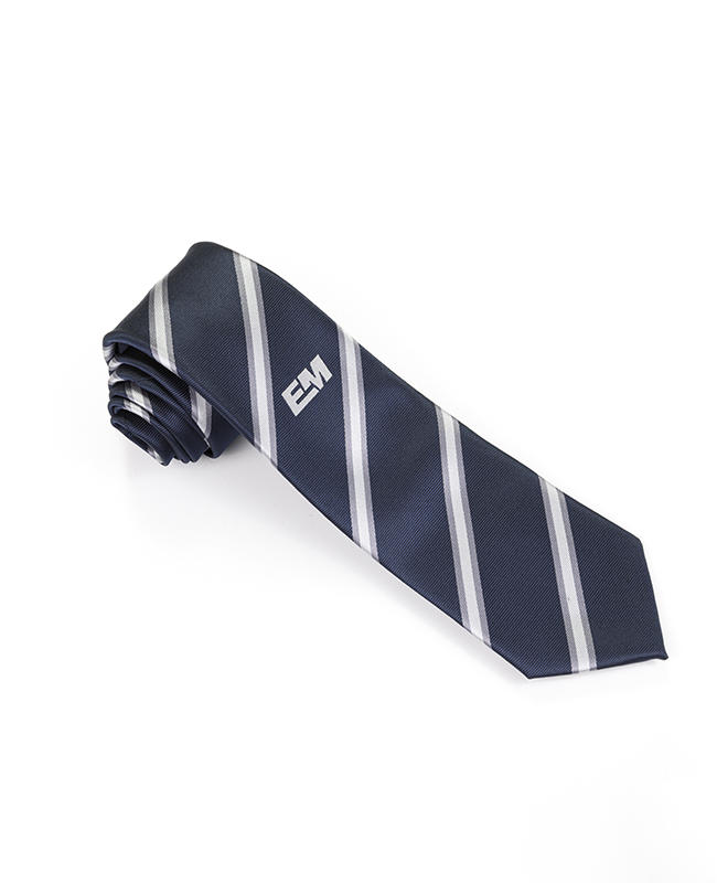 FN-007 Blue background colour school logo Handmade Silk tie