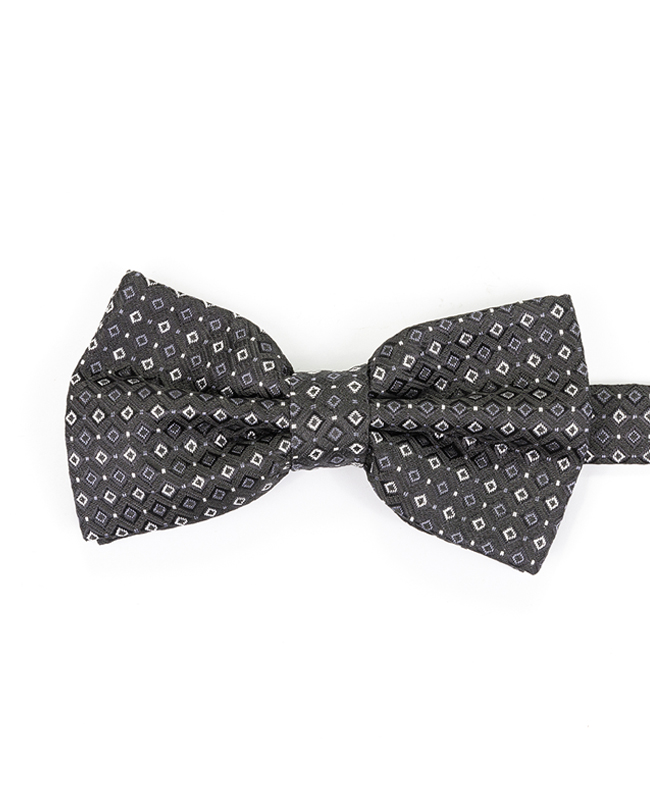 FN-070 Custom paisley design high quality Woven Silk fabric Bow Tie