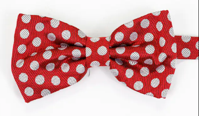 Ten Reasons To Wear A Bow Tie